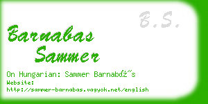 barnabas sammer business card